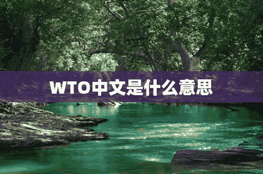 WTO中文是什么意思